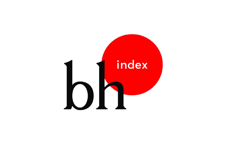 Business Health Index aino health